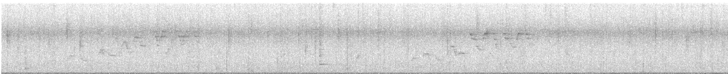 Swainson's Thrush - ML574026741