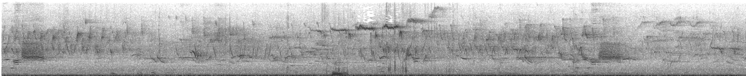 Fichtenwaldsänger - ML574041191