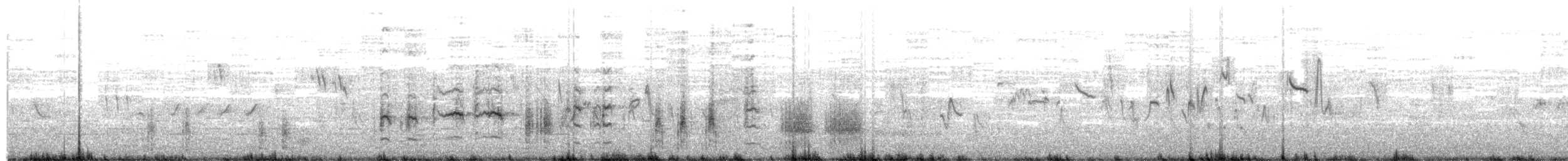 Great Reed Warbler - ML57406661