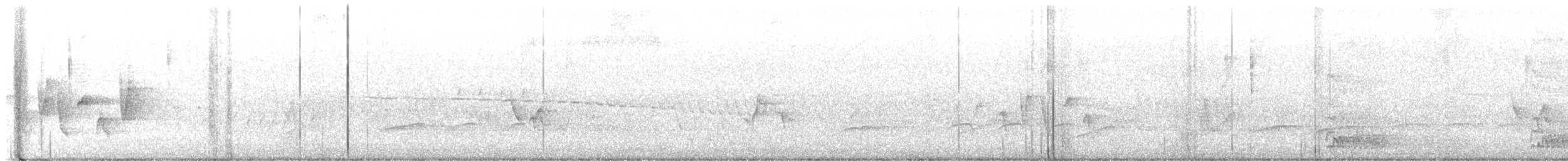 Connecticut Warbler - ML574131541
