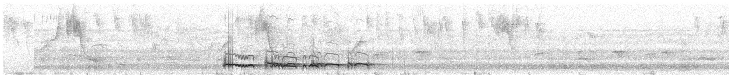 Пёстрая пуховка (maculatus) - ML574203411