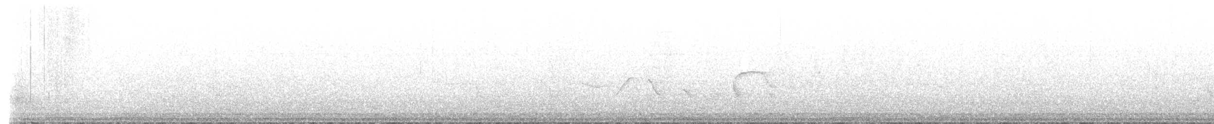 Oriental Magpie-Robin - ML574287601