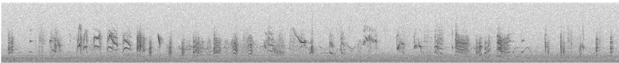 Rousserolle effarvatte (groupe baeticatus) - ML574302901