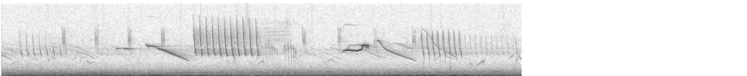 Tinamou curvirostre - ML574307891