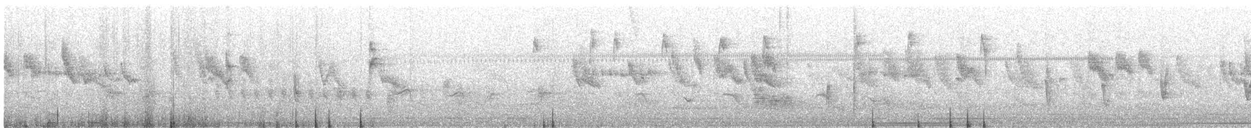 Arctic Warbler - ML574310331