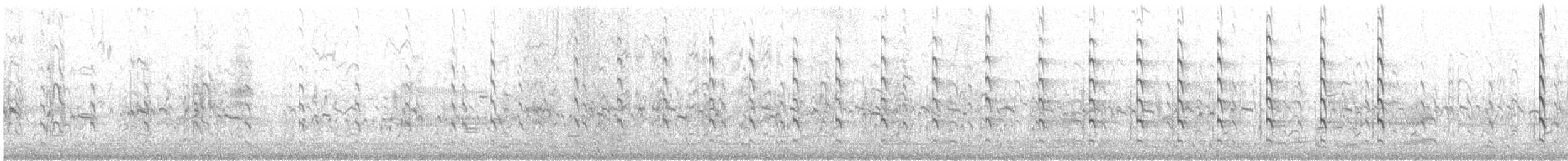 Schlammtreter (semipalmata) - ML574316381