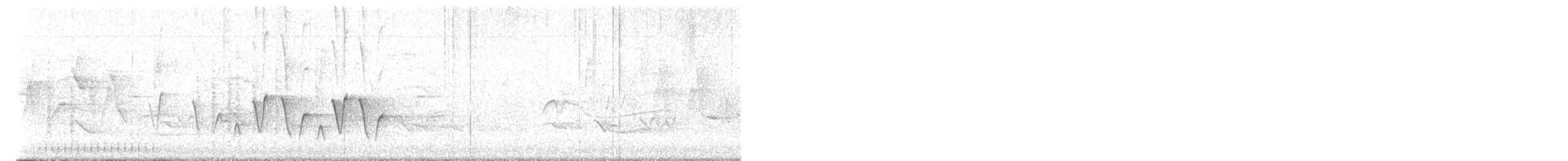 Connecticut Warbler - ML574327631