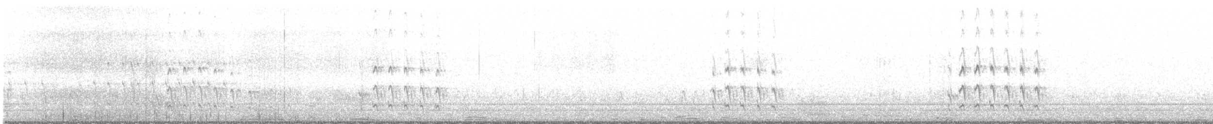Antarktika Sumrusu (georgiae) - ML574334351