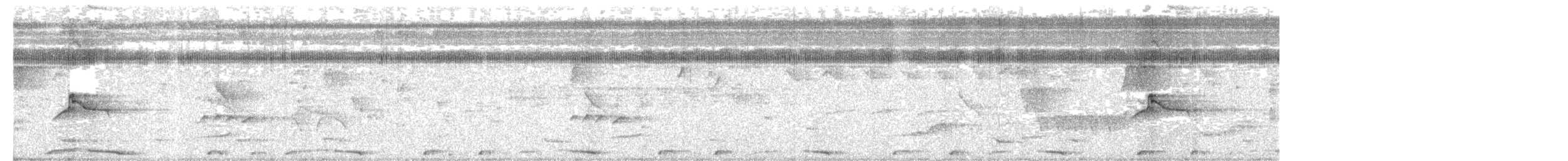 holub neotropický - ML574338031