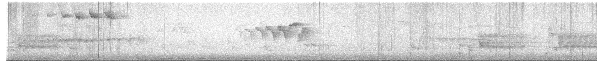 Blackpoll Warbler - ML574348151