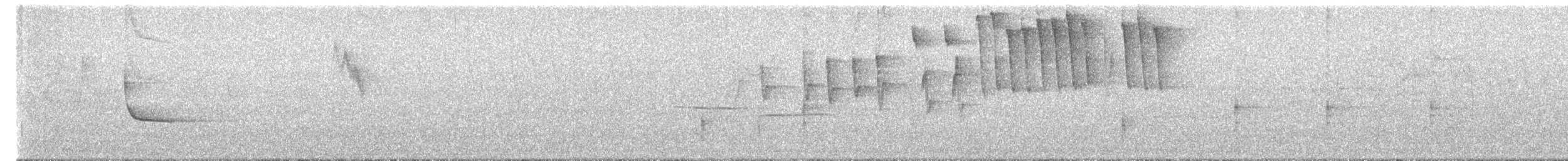 Tennessee Warbler - ML574349291