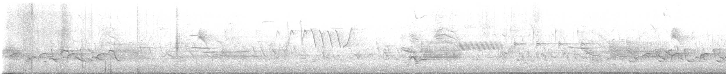 Улит-отшельник - ML574353121