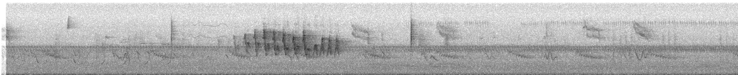 Wilson's Warbler - ML574353691