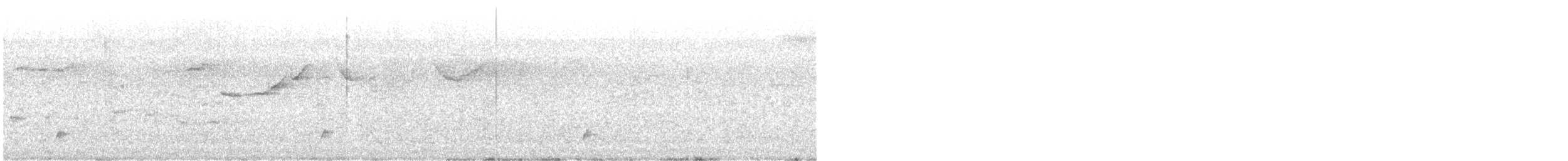 Дрізд-короткодзьоб Cвенсона [група ustulatus] - ML574377581