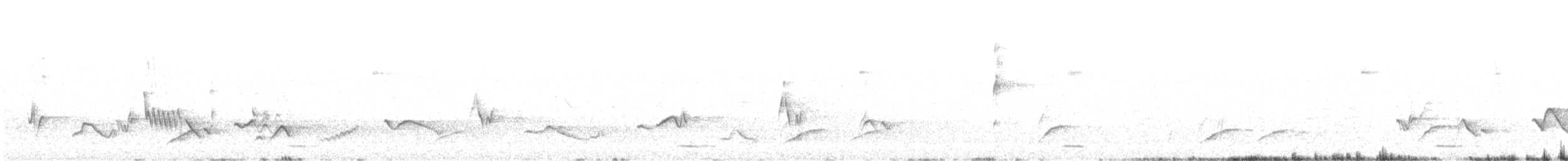 ロッキースズメフクロウ（californicum グループ） - ML574392071