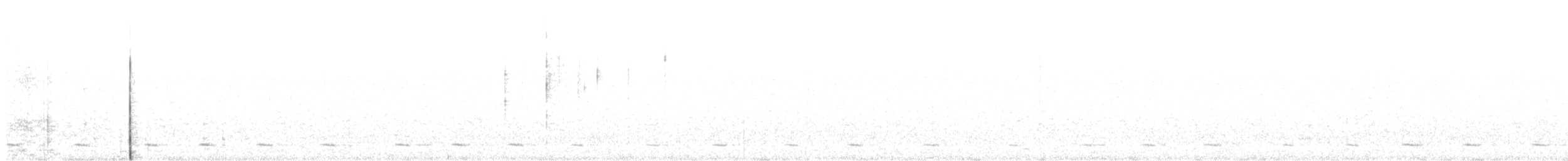 アメリカキンメフクロウ（acadicus） - ML574392271
