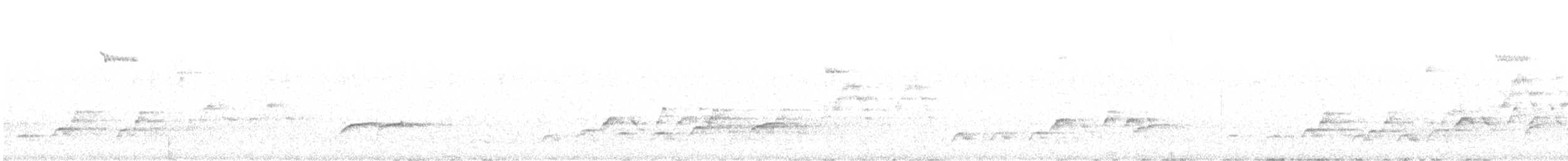 Дрізд-короткодзьоб Cвенсона [група ustulatus] - ML574392341