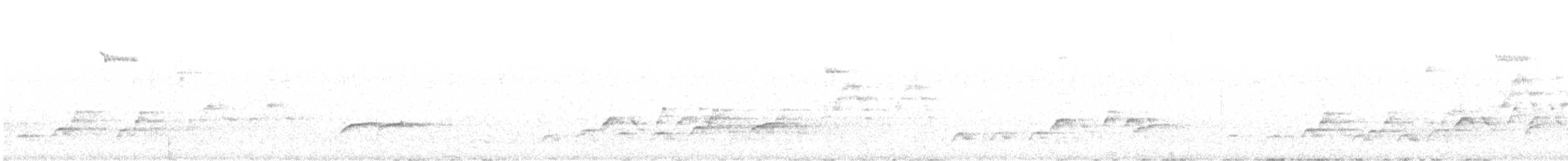 オリーブチャツグミ（ustulatus グループ） - ML574392341