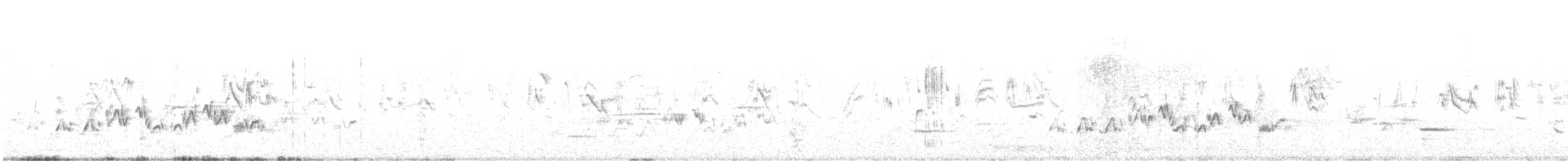ムラサキマシコ（californicus） - ML574392431