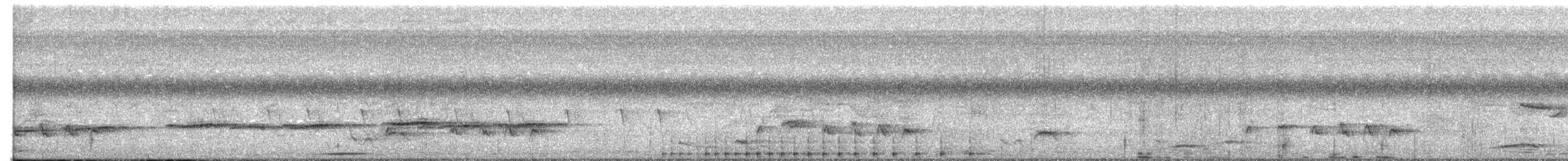 Lesser Cuckoo - ML574395851