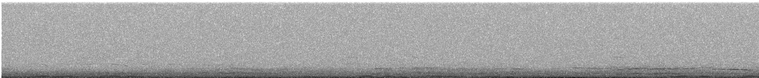 Southern Ground-Hornbill - ML574422261