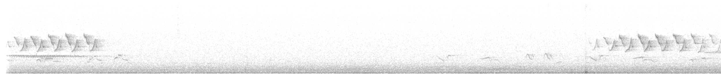Paruline à croupion jaune (coronata) - ML574440361