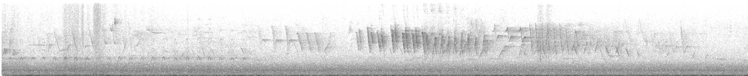 Wilson's Warbler - ML574451341