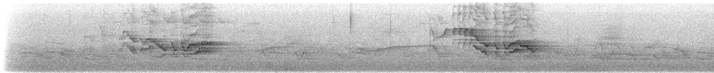 Gray-cheeked/Bicknell's Thrush - ML574509791