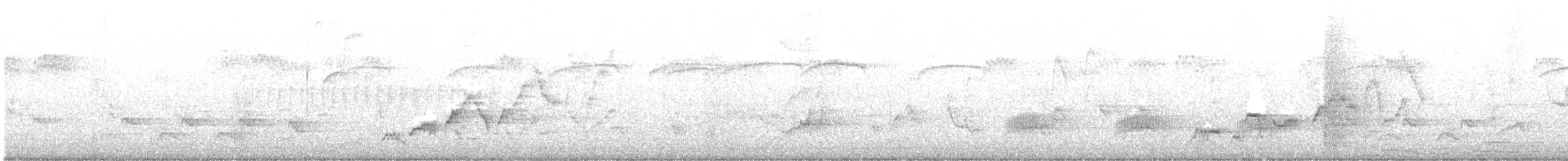 Дрізд-короткодзьоб Cвенсона - ML574669201