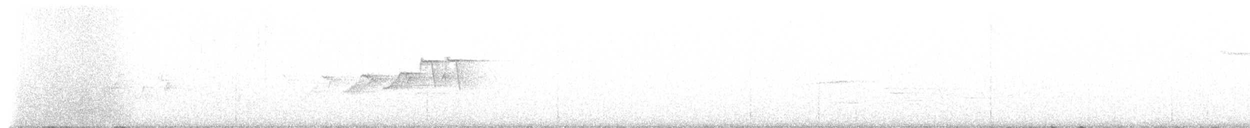 Hermit Warbler - ML574688571