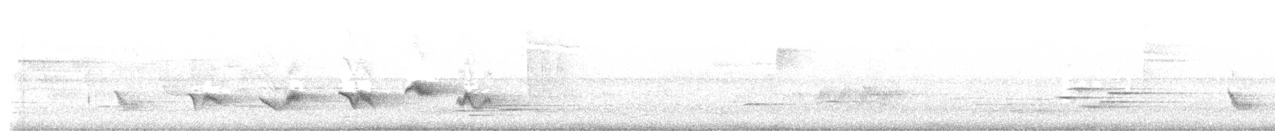 Piranga écarlate - ML574693851