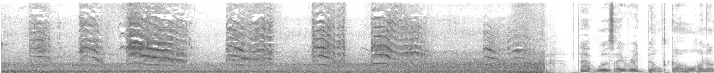 ギンカモメ（scopulinus） - ML574694881