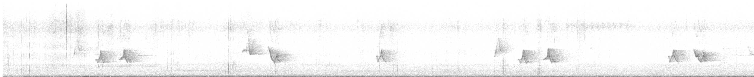 Black-whiskered Vireo - ML574733181