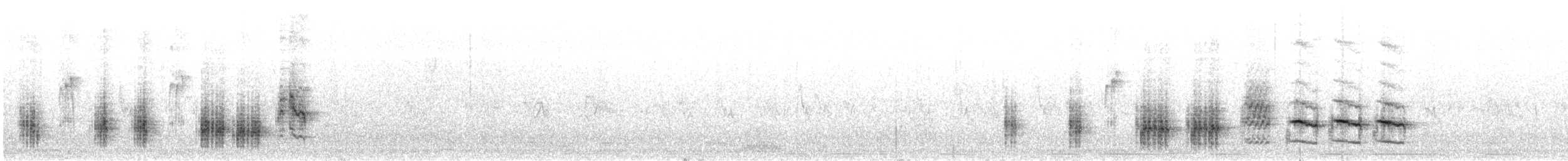 Great Reed Warbler - ML574747011