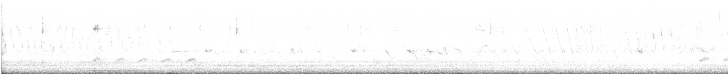lesníček žlutoprsý (ssp. auricollis) - ML574751211