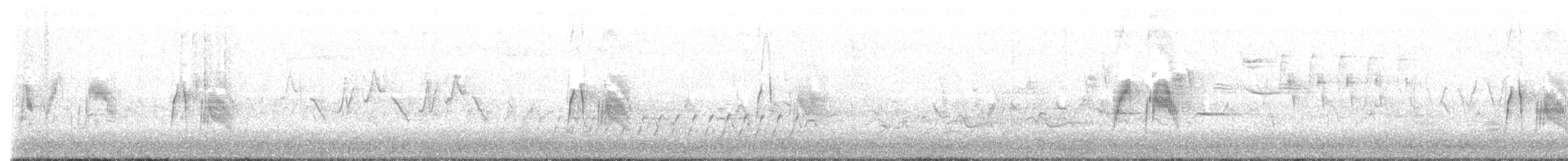 Weidenschnäppertyrann - ML574794781