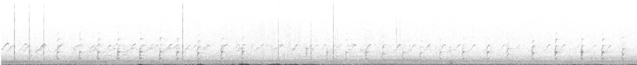 Schwarznacken-Stelzenläufer - ML574808741