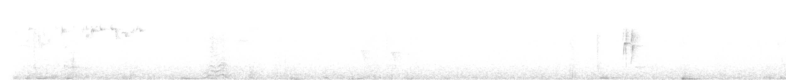 Strichelkopf-Ameisenfänger - ML574811371