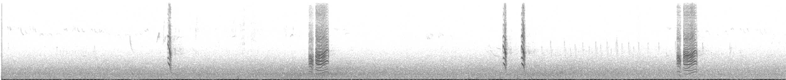 Austral Blackbird - ML574818101