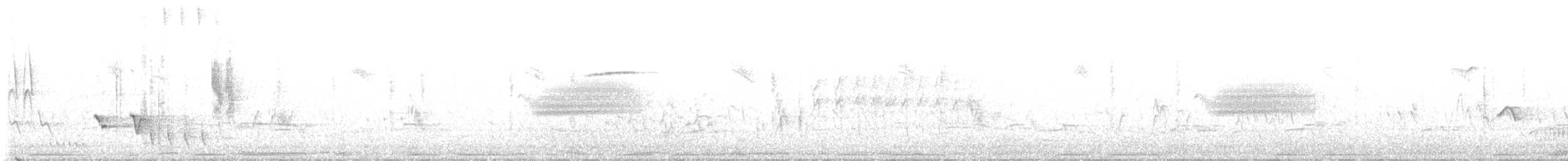 Sardinian Warbler - ML574823951