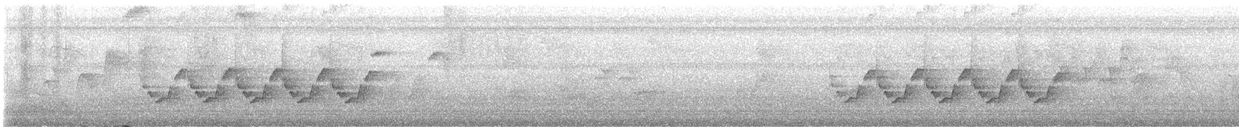 Каролинский крапивник - ML574836871