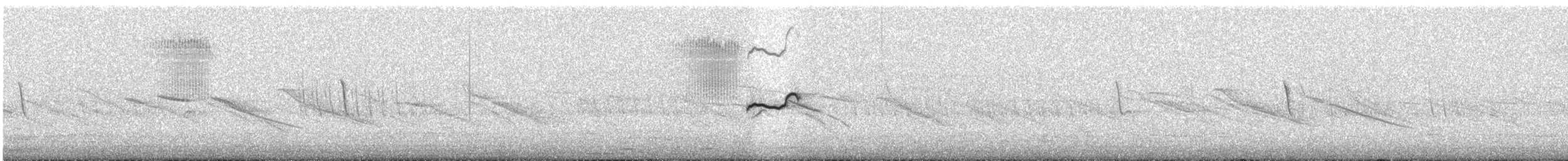 Tinamou curvirostre - ML574842081