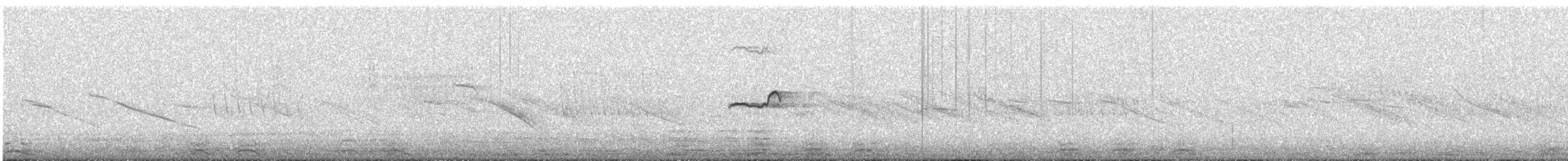 Tinamou curvirostre - ML574842201