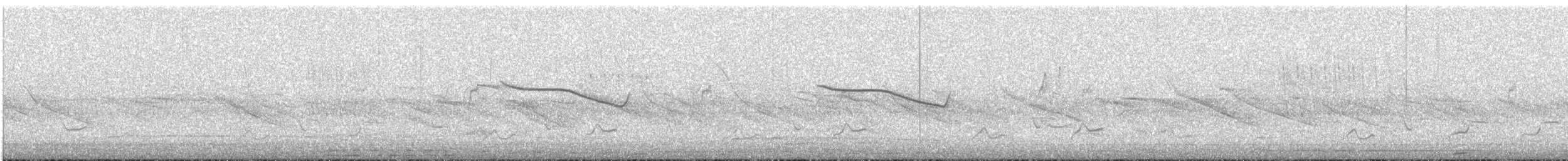 Breitspiegel-Nachtschwalbe - ML574842321
