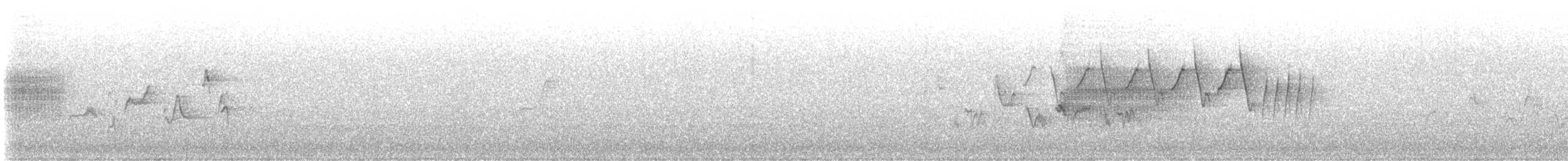 Warbling Vireo (Western) - ML574861471
