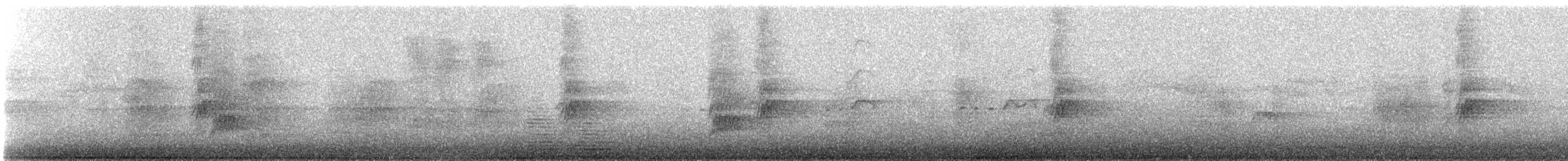 Hirondelle à front blanc (groupe pyrrhonota) - ML574871631