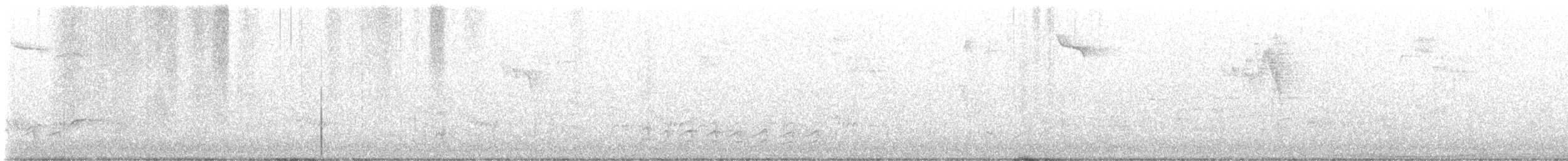 Weißbrustkleiber (carolinensis) - ML574873861
