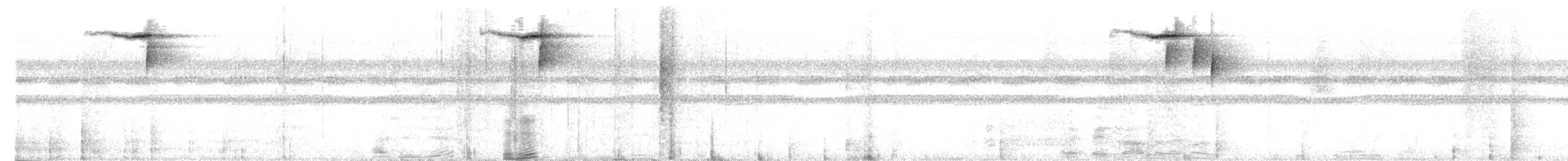 White-striped Warbler - ML574874981
