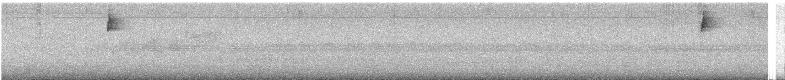 Paruline à gorge grise - ML574886001