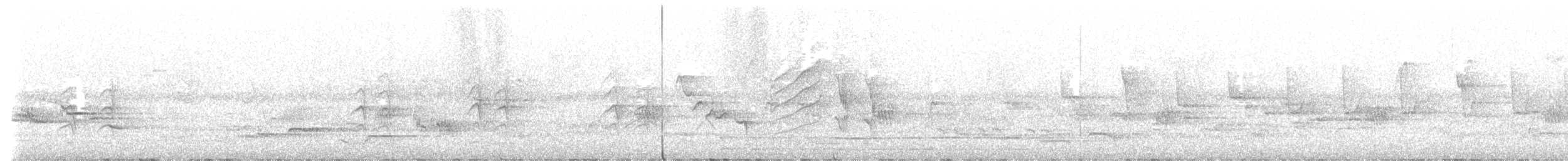 Icterine Warbler - ML574940721